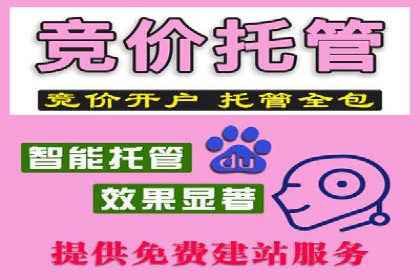 某知名品牌竞价托管SEM营销策略揭秘